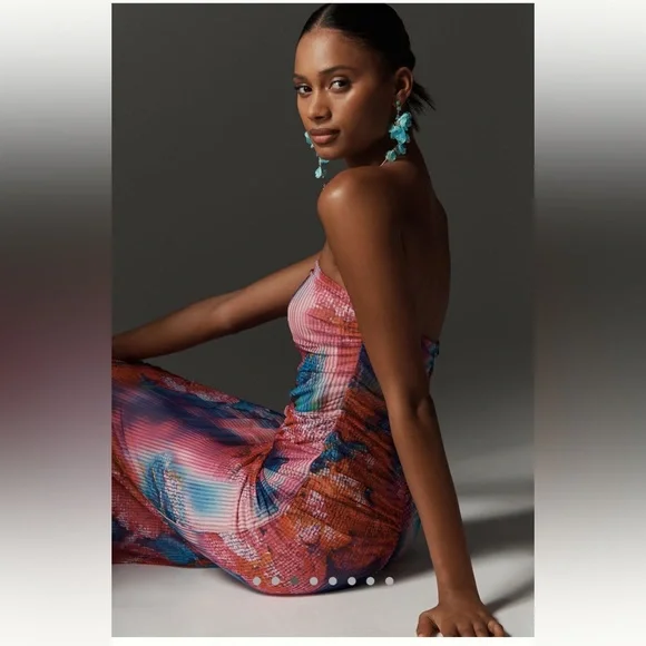 NWT Elegant The Soleil ruched mesh Dress from Anthropologie - Picture 4 of 9